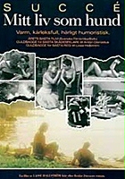 Szwedzki film - Moje pieskie życie