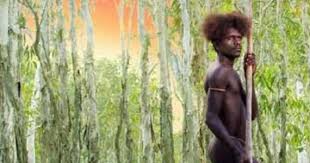 Filmy o Australii - Dziesięć czółen