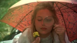 kino australijskie - Piknik pod wiszącą Skałą