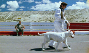 Filmy argentyńskie spis - Bombon el perro