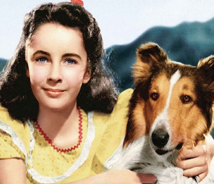 Filmy failijne - Lassie wróć