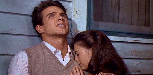 Wiosenna bujność traw recenzja