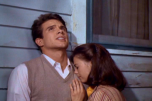 Wiosenna bujność traw recenzja