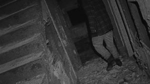 Top 20 filmów na Halloween - Blair Which Project