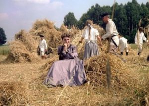 Polskie seriale oparte na ksiązkach - Nad Niemnem