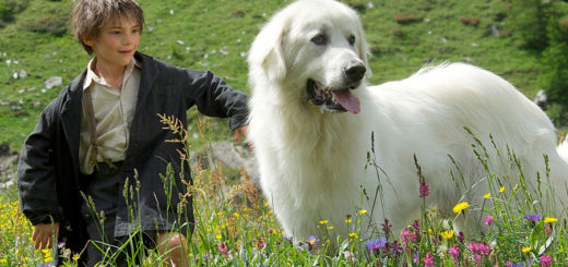 Najlepsze filmy dla młodzieży - Bella i Sebastian