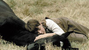 Fajne filmy o koniach - Czarny Książę