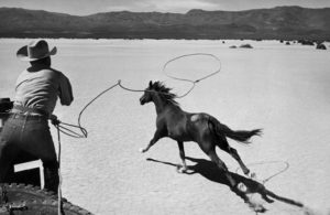 Wzruszające filmy o koniach - Skłóceni z życiem