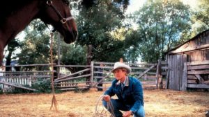 FIlmy o koniach, które warto obejrzeć