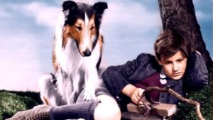 Film o psach dla dzieci - Lassie wróć