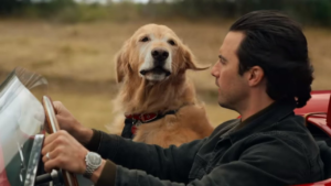 Filmy o psach 2019 - Sztuka ścigania się w deszczu