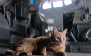Filmy o kotach - Obcy. 8 pasażer Nostromo