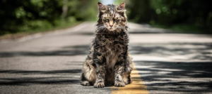 Top filmy o zombie - Smętarz dla zwierząt