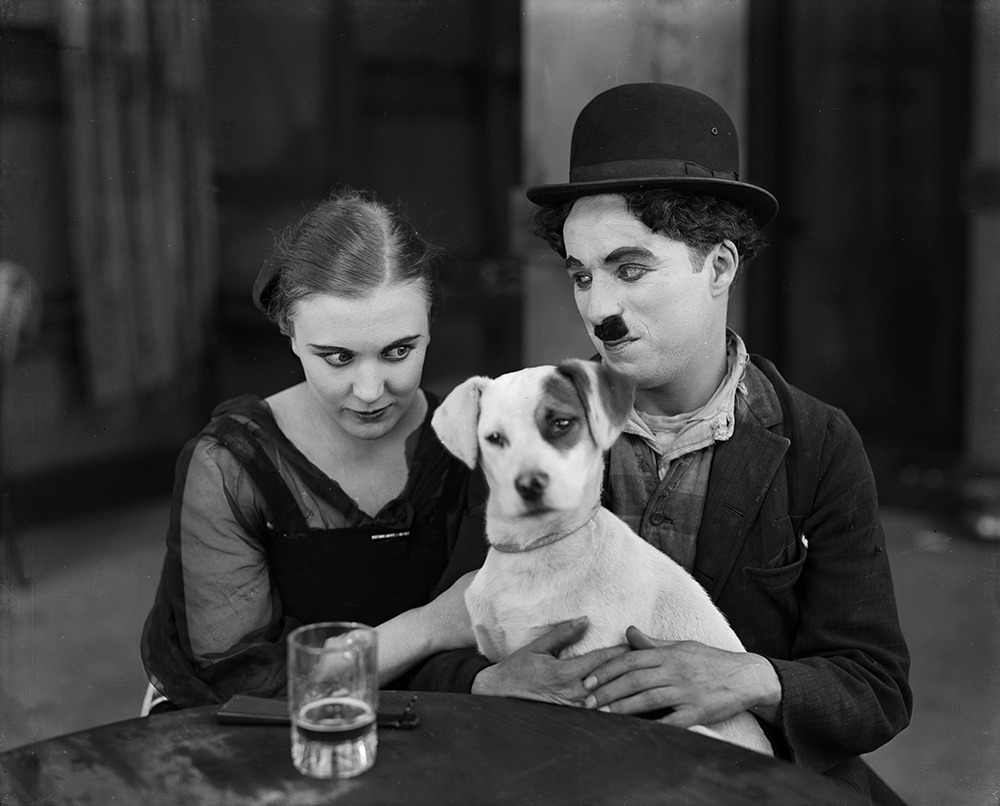 Pieskie życie film recenzja