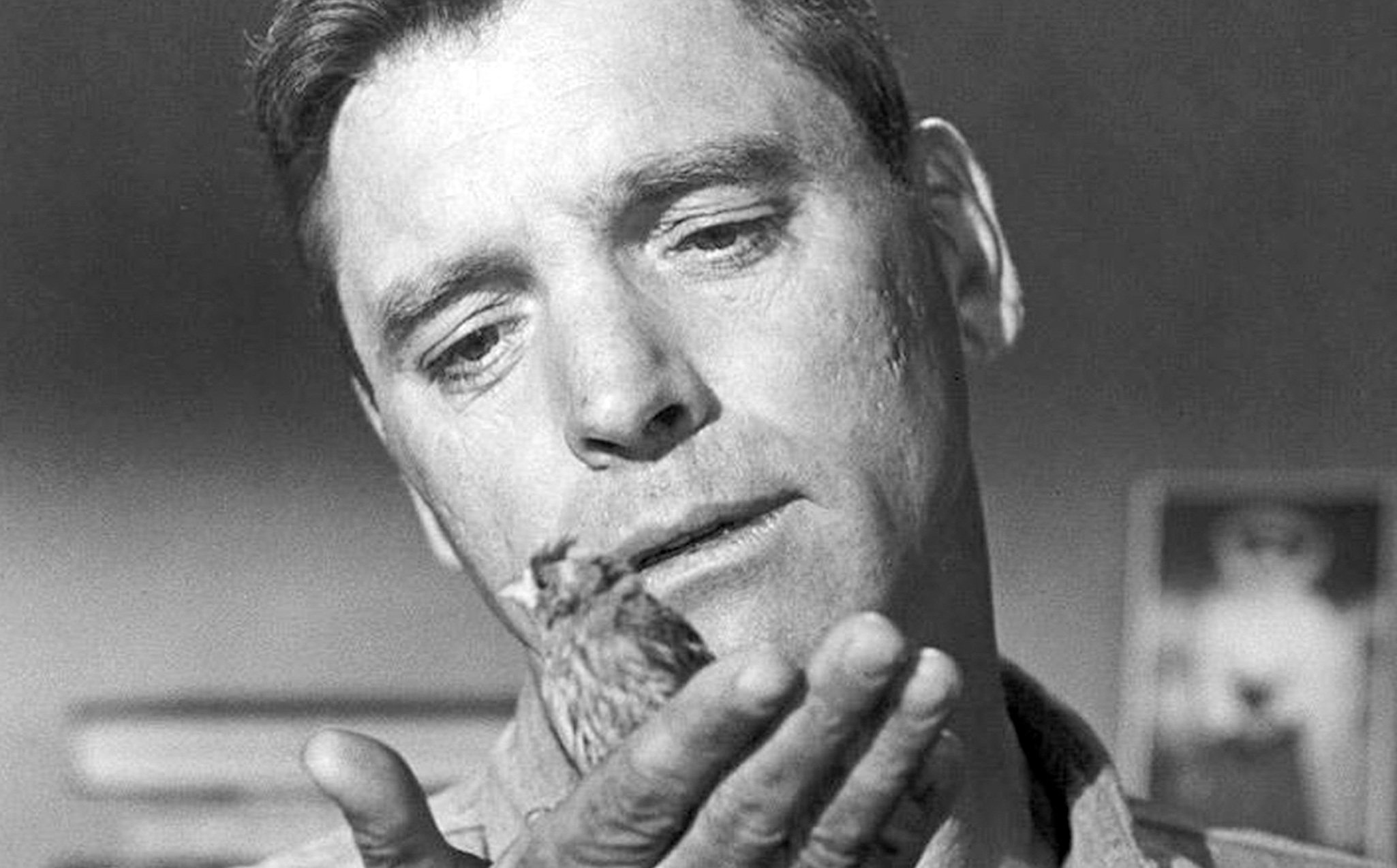 Burt Lancaster fakty i ciekawostki z życia aktora