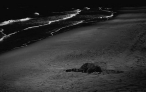 Film La Strada 1954