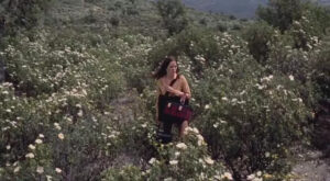 Anna and the Wolves 1973 Saura