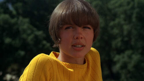 French movies worth seeing - The Collector