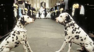 20 dog movies 101 dalmatians