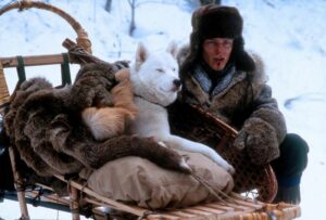 top 20 dog movies - Iron Will 