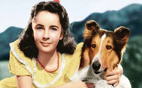 movies with dogs - Lassie come home