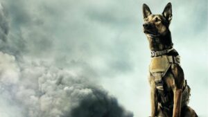 good films about dogs - Max 2015
