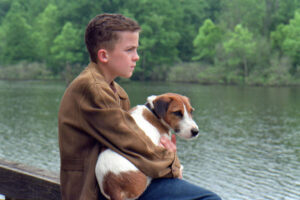 famous dog movies - my dog skip