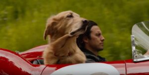 dog movies for family - The Art of racing in the rain