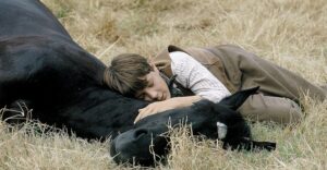 best 20 horse movies black beauty
