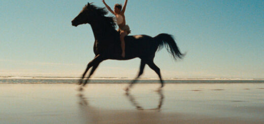 20 best movies for horse lovers the black stallion