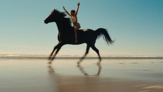 20 best movies for horse lovers the black stallion