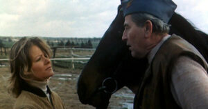 horse movies karino