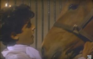 20 best horse movies of all time king of the wind