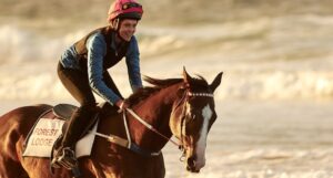 top horse films ride like a girl