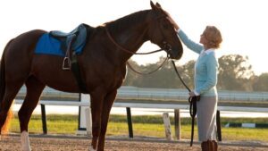horse movie - secretariat