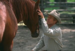 20 movies about horses the horse whisperer