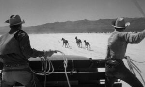 20 best movies about horses the misfits 