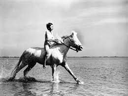 greatest horse movies white mane