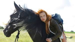 top 20 movies about horses windstorm