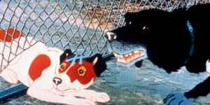 filmy animacje dla dorosłych The Plague Dogs