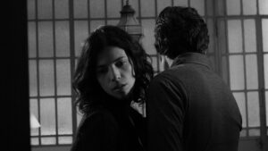 Maribel Verdu filmy - Tetro