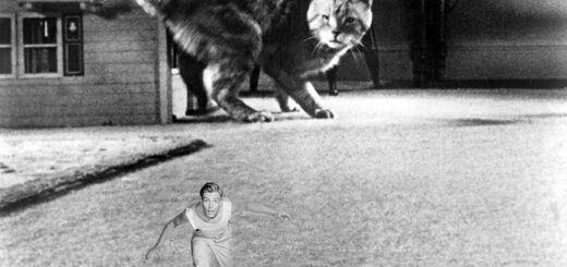 człowiek który się nieprawdopodobnie zmniejsza recenzja