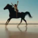 20 best movies for horse lovers the black stallion