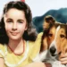 Filmy failijne - Lassie wróć